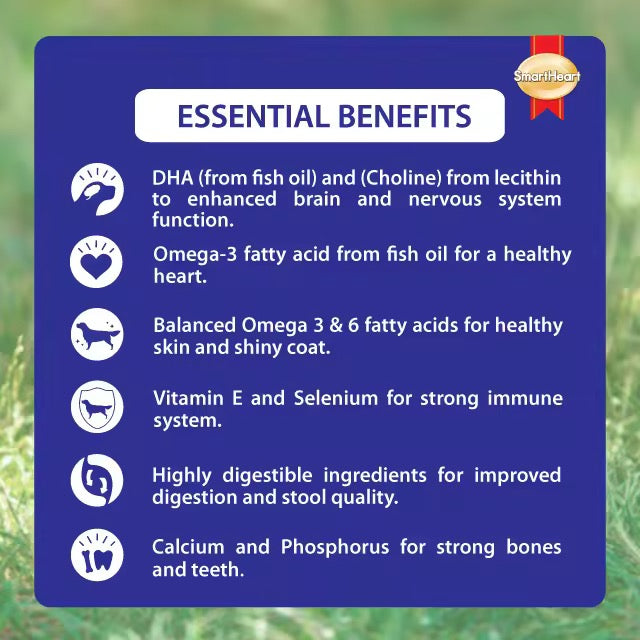 Smart Heart Dry Toy Dog Beef 450g