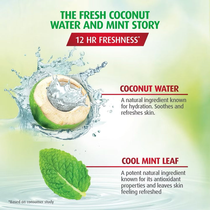 Lifebuoy Body Wash Coconut Refill 850ml