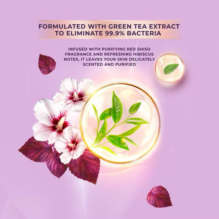 Lux Liquid Body Wash Red Shiso 900ml