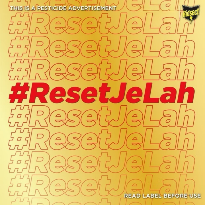 Ridsect Mat Heater Cordless 1 mat