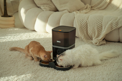 Zoro Pantry Automatic Pet Feeder With Camera