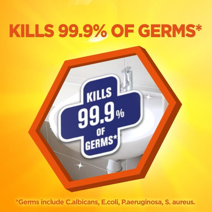 Mr Muscle Multipurpose Toilet & Bathroom Cleaner Pine (Twin Pack) 500ml x 2