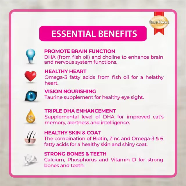 Smart Heart Cat Creamy Treats Salmon 15g X 4