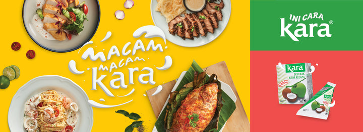 Kara Coconut Cream Powder 50g