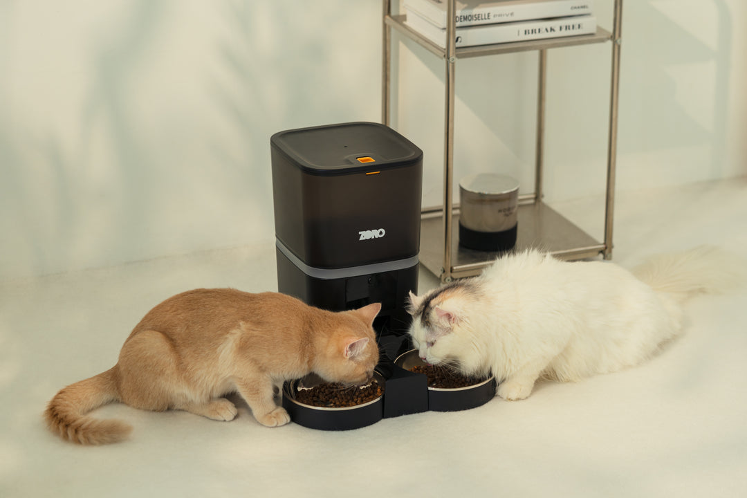 Zoro Pantry Automatic Pet Feeder with Wifi