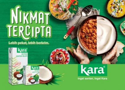 Kara Coconut Cream 500ml