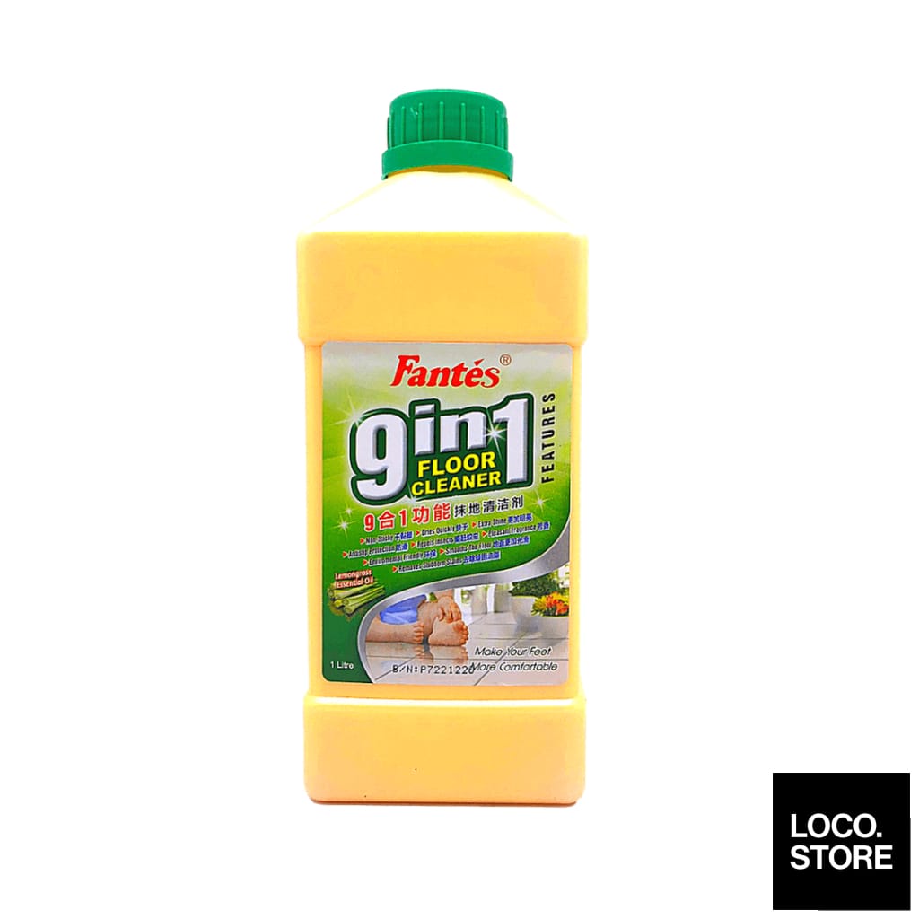 Fantes 9In1 Floor Cleaner 1000ml - Household